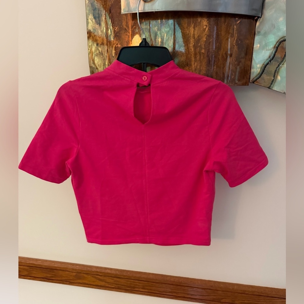 Walter Baker Pint Short Sleeve Crop